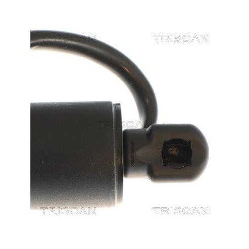 TRISCAN 8710 81209 Gasfeder, Koffer-/Laderaum f&uuml;r TESLA, hinten rechts