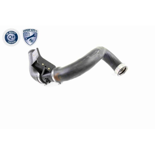 Ladeluftschlauch VAICO V30-2421 EXPERT KITS + für CHRYSLER DODGE MERCEDES-BENZ
