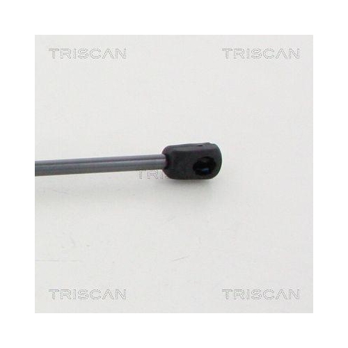 Gasfeder, Koffer-/Laderaum TRISCAN 8710 11247 f&uuml;r BMW MINI, hinten links