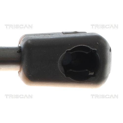 Gasfeder, Motorhaube TRISCAN 8710 11366 für BMW, vorne links, vorne rechts