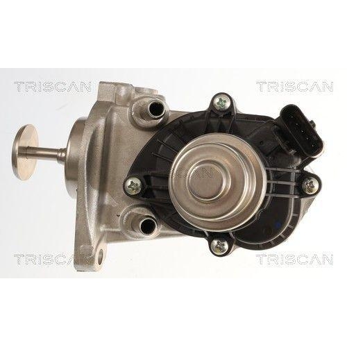AGR-Ventil TRISCAN 8813 11007 f&uuml;r BMW MINI