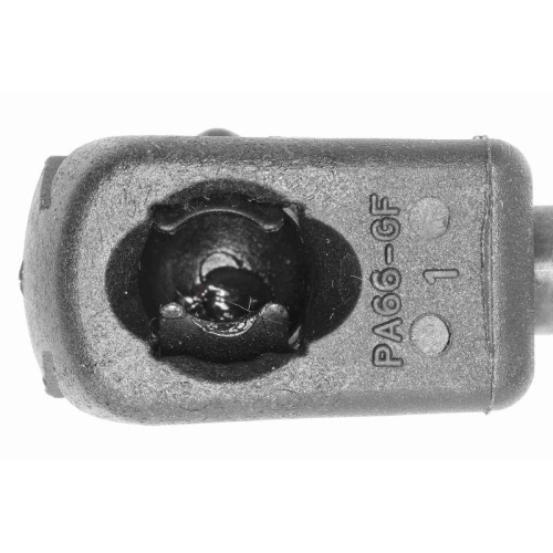 Gasfeder, Koffer-/Laderaum VAICO V46-0244 Green Mobility Parts f&uuml;r RENAULT