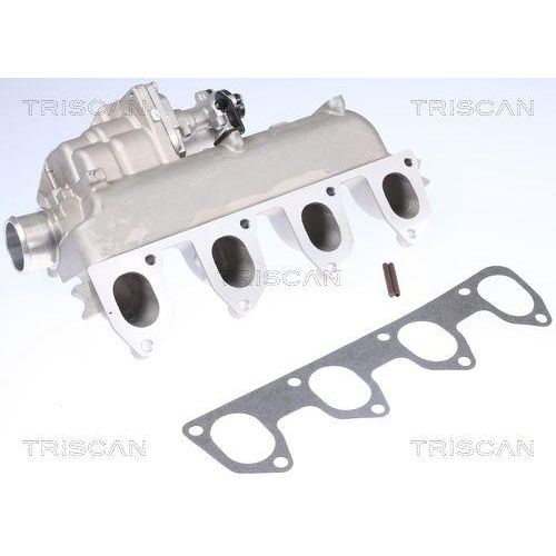 AGR-Ventil TRISCAN 8813 16160 f&uuml;r FORD
