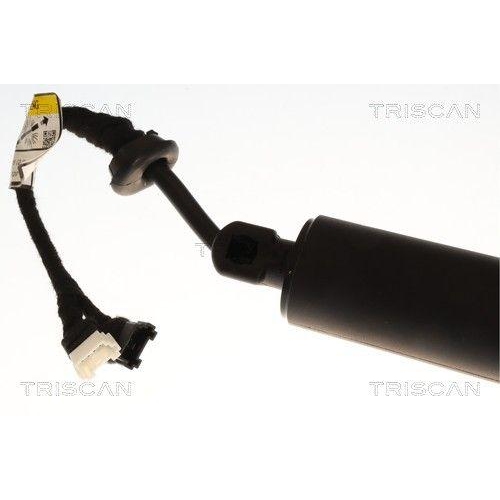 TRISCAN 8710 11385 Gasfeder, Koffer-/Laderaum f&uuml;r BMW, links, rechts