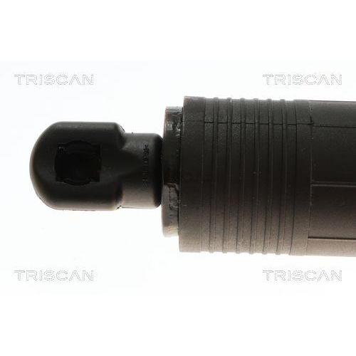 Gasfeder, Koffer-/Laderaum TRISCAN 8710 24301 für OPEL, hinten links