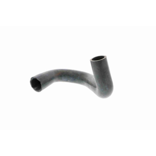 Kühlerschlauch VAICO V20-2606 Q+, Erstausrüsterqualität für MINI, unten