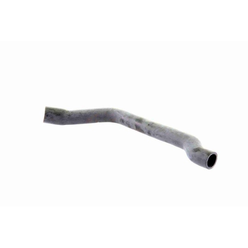 K&uuml;hlerschlauch VAICO V20-2607 Q+, Erstausr&uuml;sterqualit&auml;t f&uuml;r MINI, unten