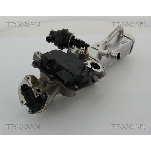 AGR-Ventil TRISCAN 8813 28044 f&uuml;r CITRO&Euml;N PEUGEOT