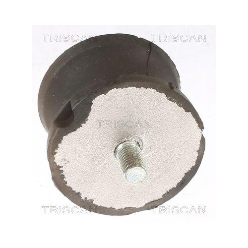 Lagerung, Automatikgetriebe TRISCAN 8505 11201 für BMW, Hinterachse beidseitig