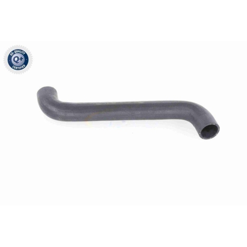 K&uuml;hlerschlauch VAICO V30-3549 Q+, Erstausr&uuml;sterqualit&auml;t f&uuml;r MERCEDES-BENZ, oben