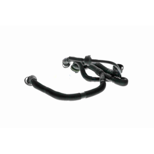 Schlauch, Kurbelgeh&auml;useentl&uuml;ftung VAICO V10-3505 Original VAICO Qualit&auml;t f&uuml;r VW