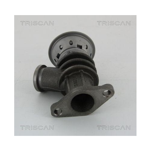 AGR-Ventil TRISCAN 8813 28100 f&uuml;r CITRO&Euml;N PEUGEOT