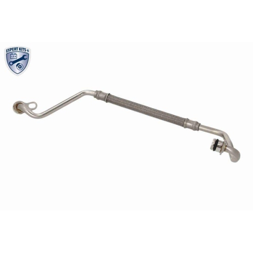 VAICO V10-000159 &Ouml;lleitung, Lader EXPERT KITS + f&uuml;r AUDI SEAT SKODA VW CUPRA