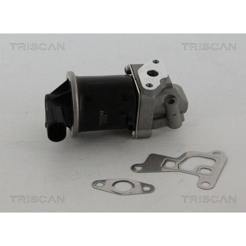 AGR-Ventil TRISCAN 8813 29100 f&uuml;r VW