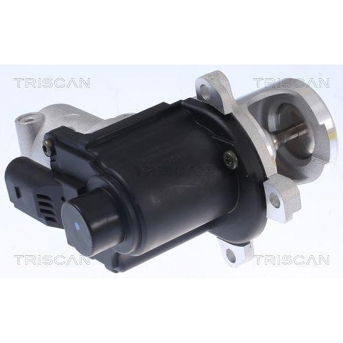 AGR-Ventil TRISCAN 8813 29015 f&uuml;r AUDI VW