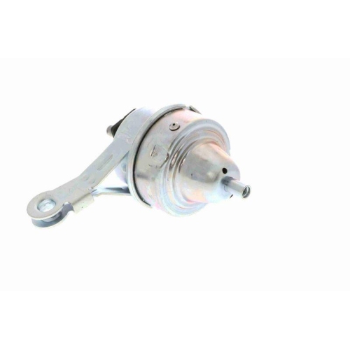 Lagerung, Motor VAICO V20-1559 Original VAICO Qualit&auml;t f&uuml;r MINI, rechts