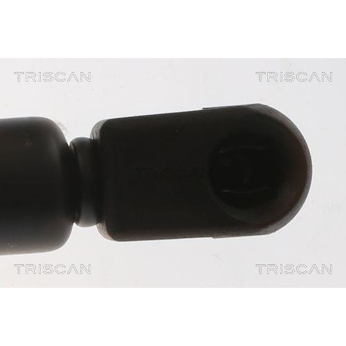Gasfeder, Motorhaube TRISCAN 8710 29159 f&uuml;r VW, vorne links, vorne rechts