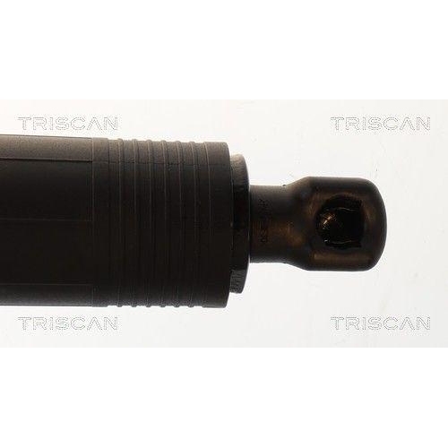 TRISCAN 8710 29343 Gasfeder, Koffer-/Laderaum f&uuml;r VW, links, rechts