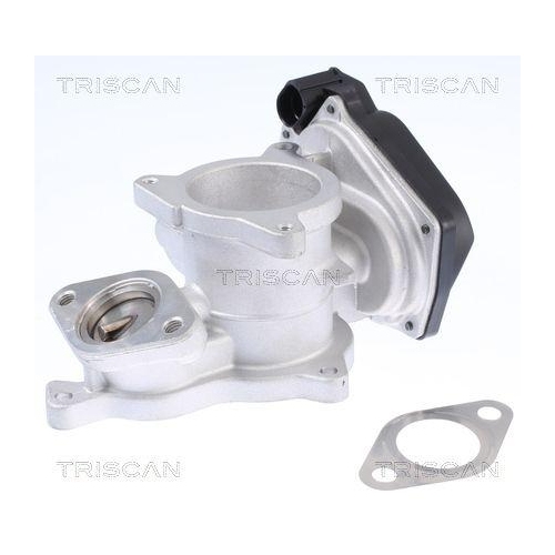 AGR-Ventil TRISCAN 8813 29019 f&uuml;r AUDI VW