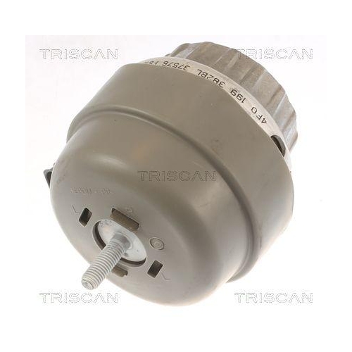 Lagerung, Motor TRISCAN 8505 29174 f&uuml;r AUDI, rechts, vorne