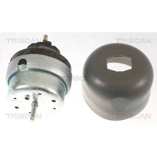 Lagerung, Motor TRISCAN 8505 29177 f&uuml;r AUDI SEAT SKODA VW, links, rechts, vorne