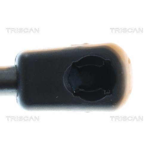 Gasfeder, Koffer-/Laderaum TRISCAN 8710 292082 f&uuml;r AUDI, hinten links