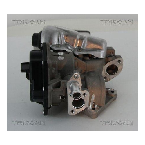 AGR-Ventil TRISCAN 8813 29304 für AUDI VW