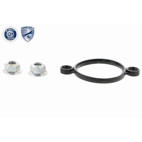 Stellelement, Exzenterwelle (variabler Ventilhub) VEMO V20-87-0001 EXPERT KITS +
