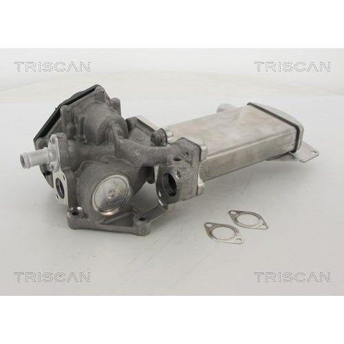 AGR-Ventil TRISCAN 8813 29305 f&uuml;r VW