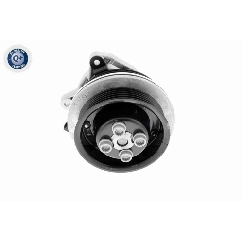 Wasserpumpe, Motork&uuml;hlung VAICO V10-50065 Q+, Erstausr&uuml;sterqualit&auml;t f&uuml;r AUDI VW