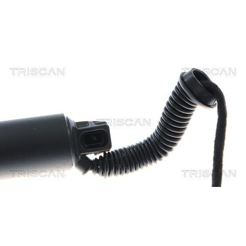 Gasfeder, Koffer-/Laderaum TRISCAN 8710 292085 für SEAT CUPRA, hinten links