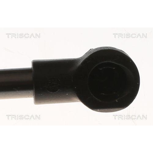 Gasfeder, Koffer-/Laderaum TRISCAN 8710 29315 für SEAT, hinten links