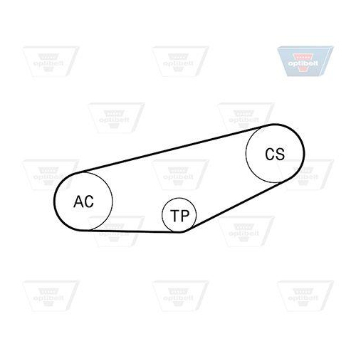 Keilrippenriemensatz OPTIBELT 4 PK 855KT1 Optibelt-RBK KIT f&uuml;r AUDI