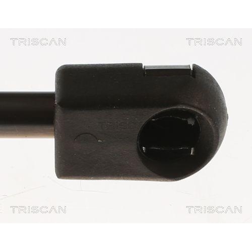 Gasfeder, Koffer-/Laderaum TRISCAN 8710 29317 f&uuml;r VW, hinten links