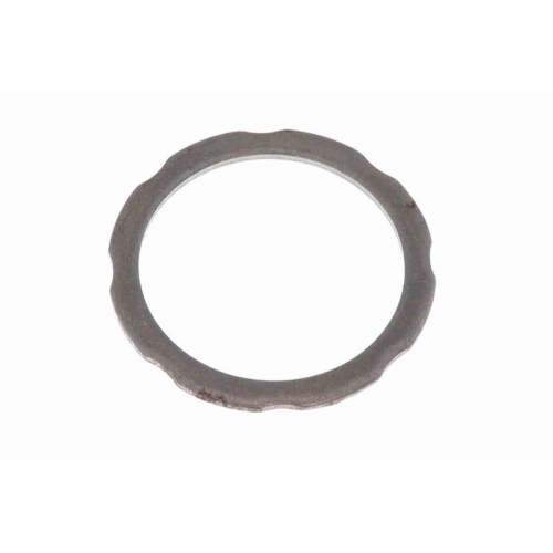 Kettenspanner, Ölpumpenantrieb VAICO V20-3195 Green Mobility Parts für BMW