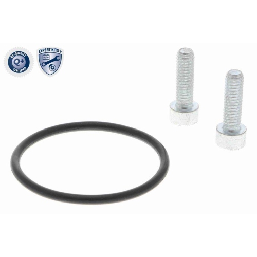 Stellelement, Feststellbremse Bremssattel VEMO V10-77-1060 EXPERT KITS + f&uuml;r VW