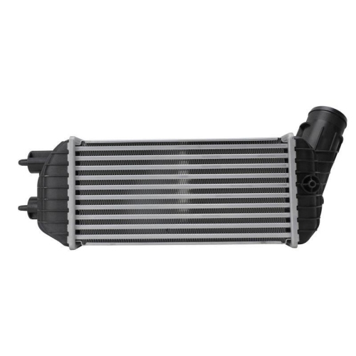HELLA 8ML 366 341-781 Ladeluftk&uuml;hler f&uuml;r CITRO&Euml;N PEUGEOT DS