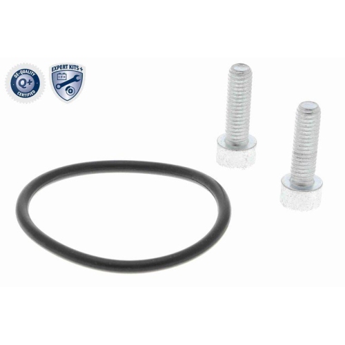 Stellelement, Feststellbremse Bremssattel VEMO V10-77-1061 EXPERT KITS + f&uuml;r VW