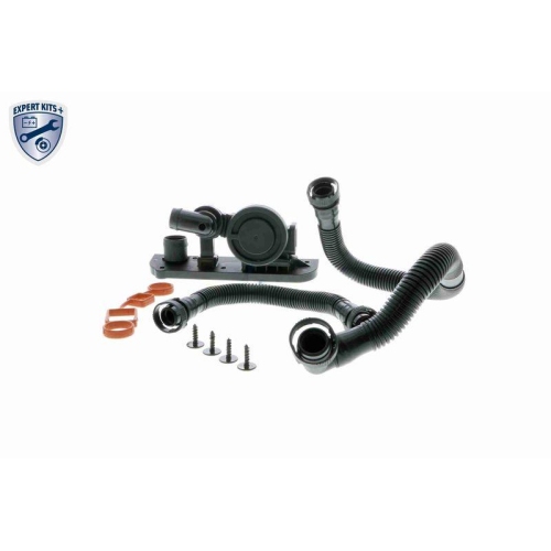 Reparatursatz, Kurbelgeh&auml;useentl&uuml;ftung VAICO V10-3246 EXPERT KITS + f&uuml;r AUDI VW