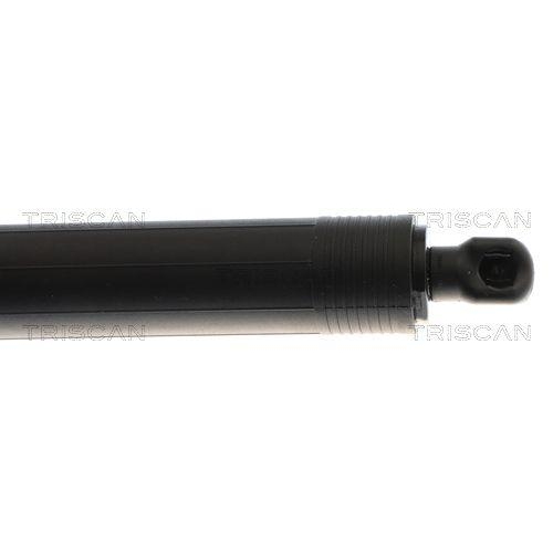 Gasfeder, Koffer-/Laderaum TRISCAN 8710 29323 für VW, links