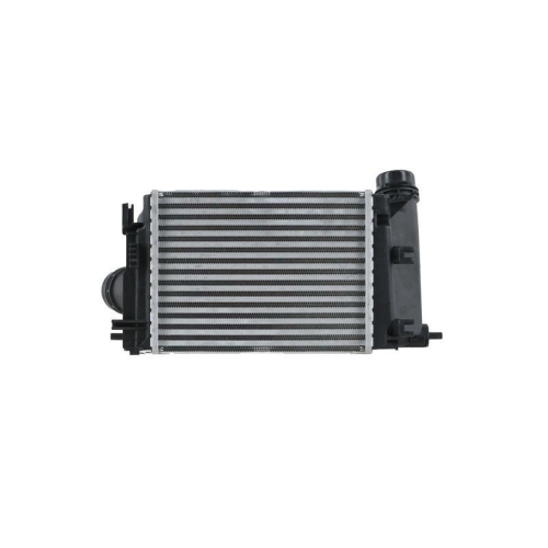 HELLA 8ML 366 341-011 Ladeluftk&uuml;hler f&uuml;r NISSAN