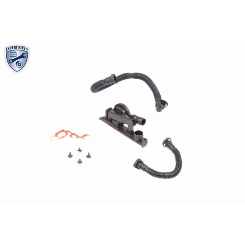 Reparatursatz, Kurbelgeh&auml;useentl&uuml;ftung VAICO V10-3247 EXPERT KITS + f&uuml;r AUDI VW