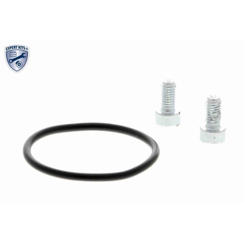 Stellelement, Feststellbremse Bremssattel VEMO V10-77-1026 EXPERT KITS + f&uuml;r VW