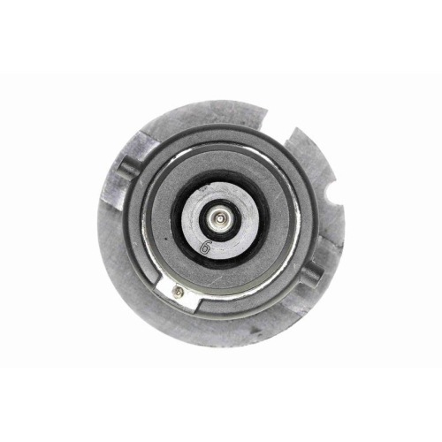 Gl&uuml;hlampe VEMO V99-84-0014 Green Mobility Parts f&uuml;r AUDI AUW&Auml;RTER BMW DAF FORD