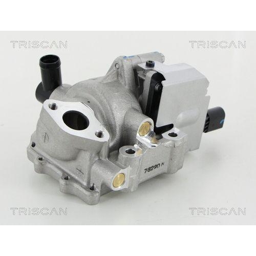 AGR-Ventil TRISCAN 8813 18046 f&uuml;r HYUNDAI KIA