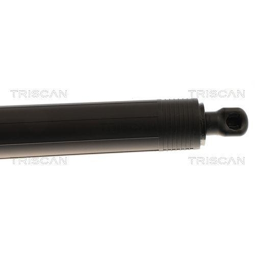Gasfeder, Koffer-/Laderaum TRISCAN 8710 43313 f&uuml;r KIA