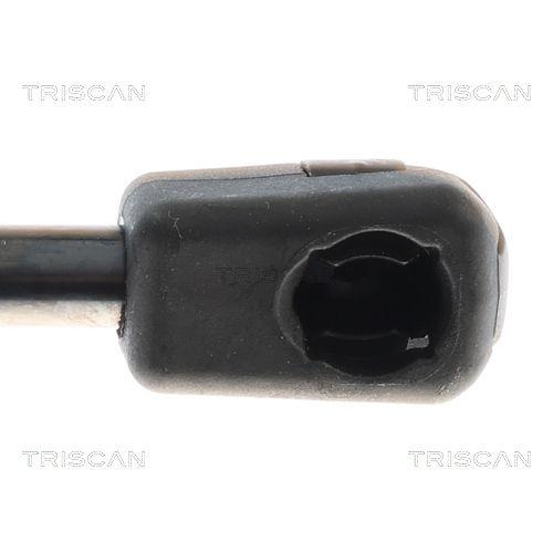 Gasfeder, Koffer-/Laderaum TRISCAN 8710 69229 für SUZUKI, hinten links