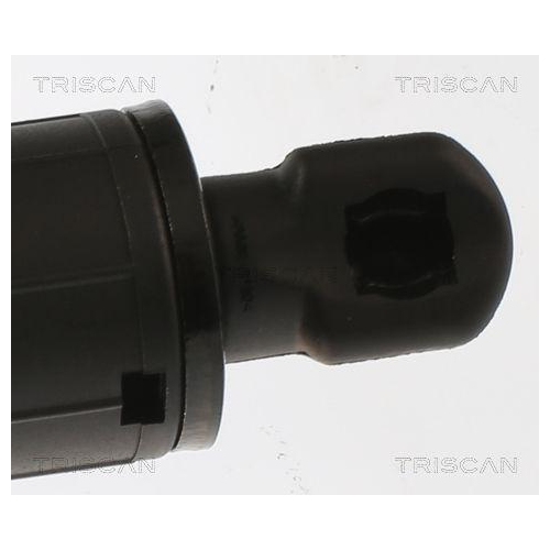 Gasfeder, Koffer-/Laderaum TRISCAN 8710 81202 für TESLA