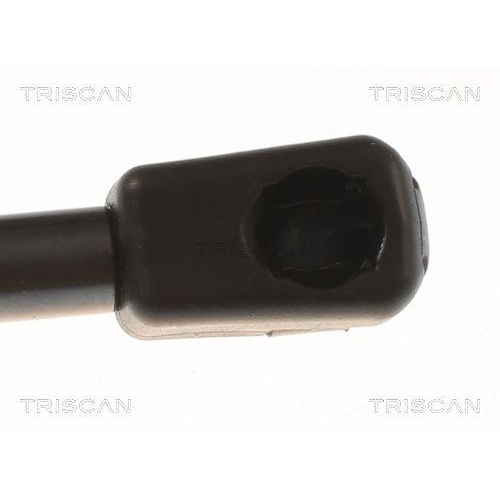 Gasfeder, Koffer-/Laderaum TRISCAN 8710 81204 f&uuml;r TESLA, hinten rechts