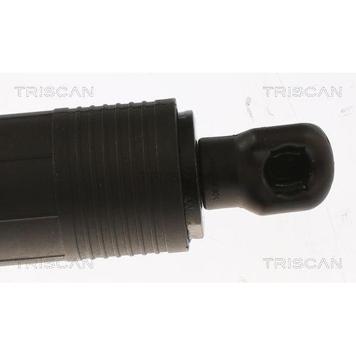Gasfeder, Koffer-/Laderaum TRISCAN 8710 81205 f&uuml;r TESLA